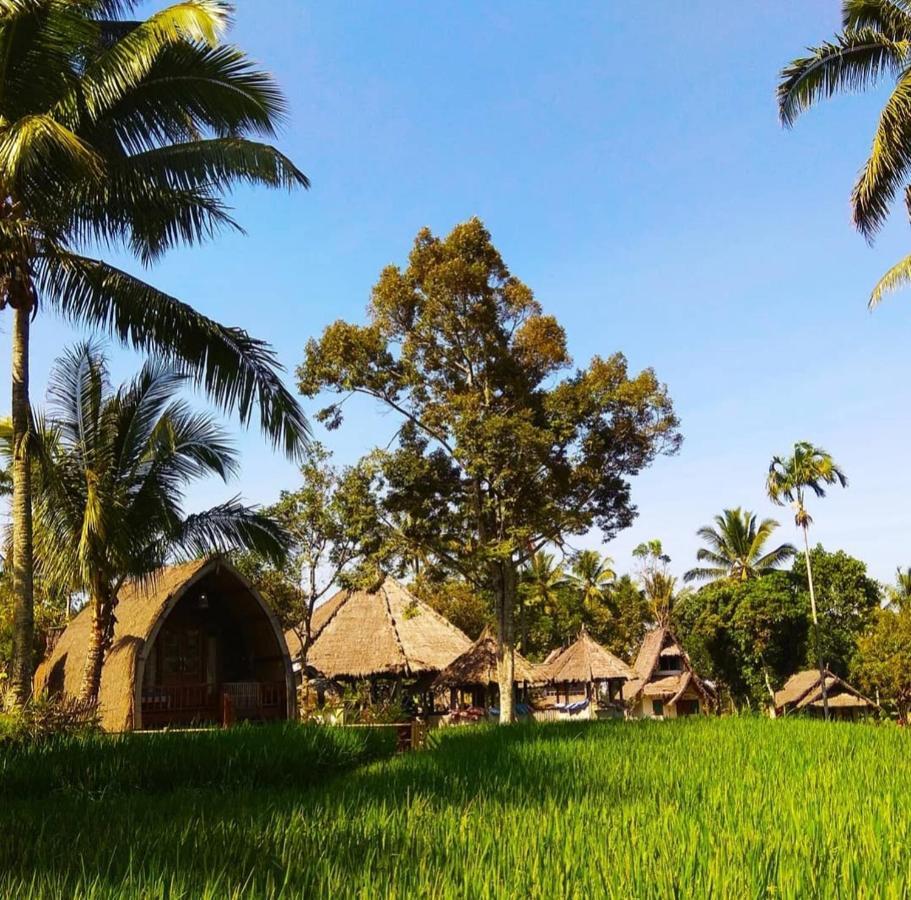 Hakiki Inn Bungalows Tetebatu Eksteriør billede