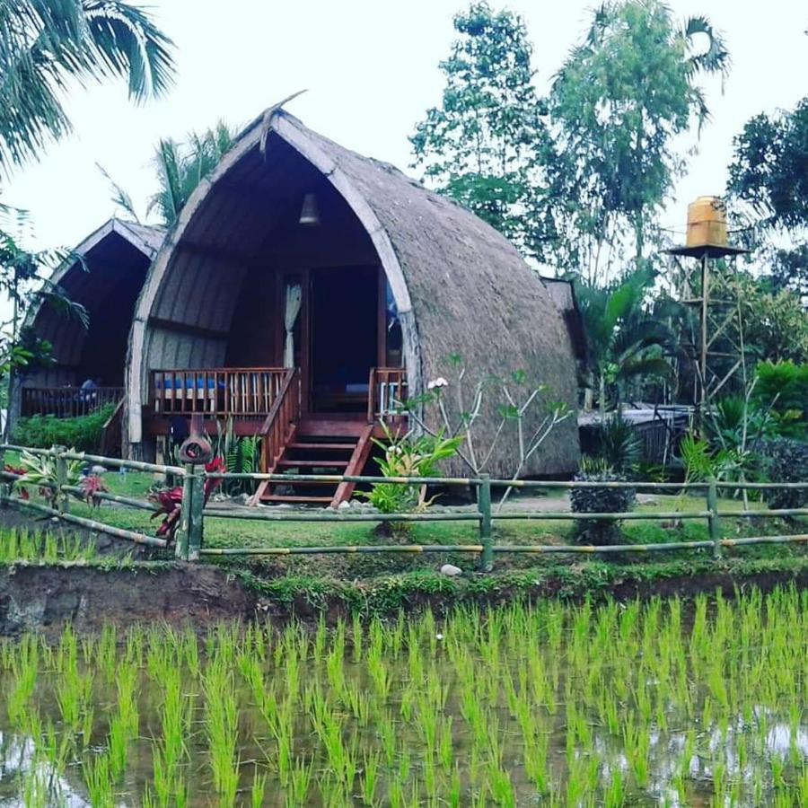 Hakiki Inn Bungalows Tetebatu Eksteriør billede