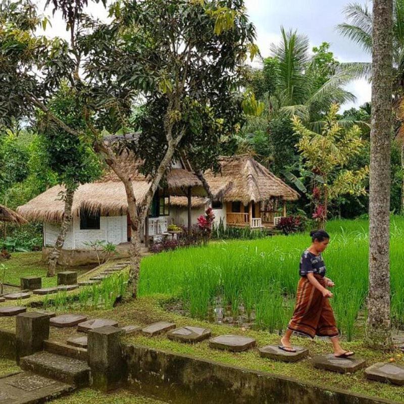 Hakiki Inn Bungalows Tetebatu Eksteriør billede
