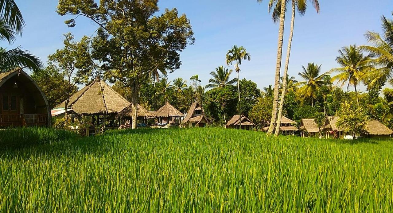 Hakiki Inn Bungalows Tetebatu Eksteriør billede
