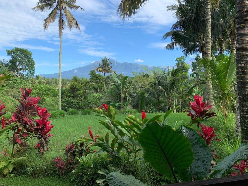 Hakiki Inn Bungalows Tetebatu Eksteriør billede